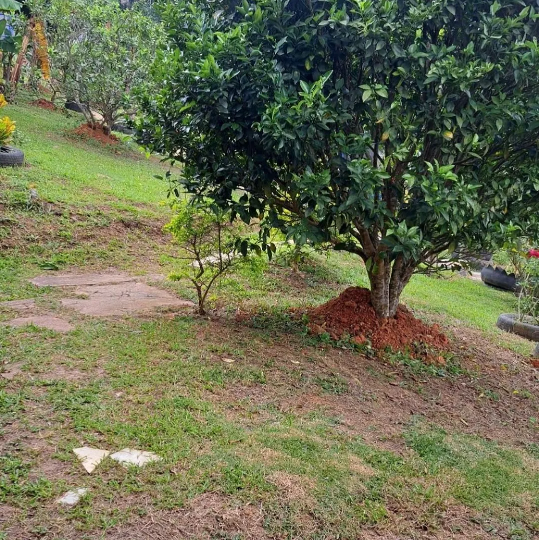El Rincon De Blanquita Villa Cali 0*,